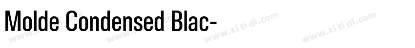 Molde Condensed Blac字体转换